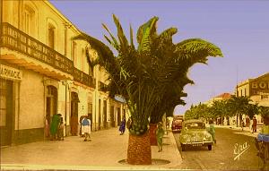 LOURMEL 08